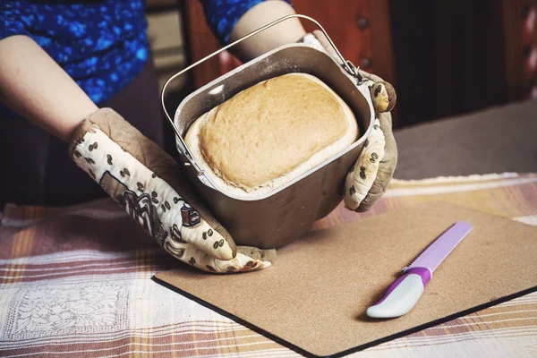 Аппетитная свежая буханка хлеба в виде хлеба — стоковое фото