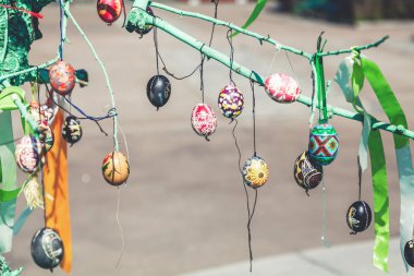 Grup boyalı Paskalya yumurtaları ağaç dalı