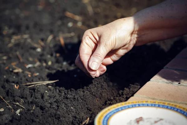 Hand sowing seeds in ground close-up — Stock Photo, Image