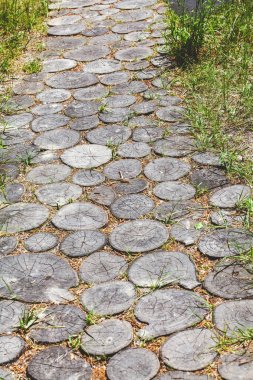 Sünnet yuvarlak günlüklerinin konumunu