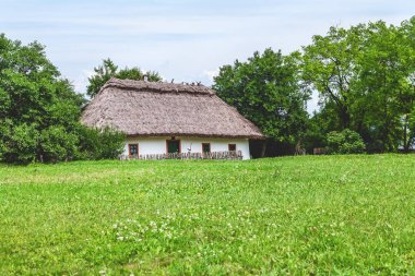 Thatched çatı ile kulübede açık yeşil çim