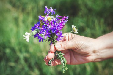 El kır çiçekleri buketi