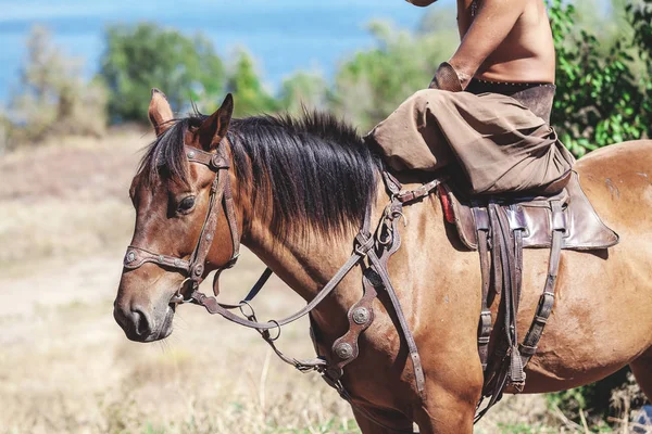 Cosaque en pantalon assis sur un cheval — Photo