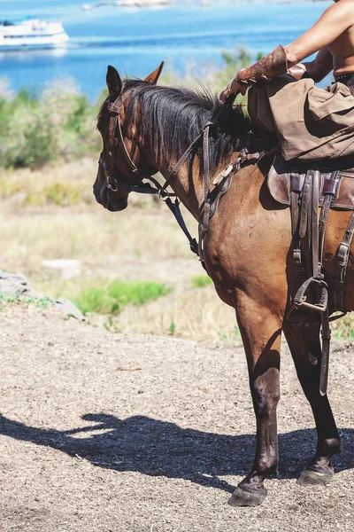 Всадник на лошади смотрит в сторону реки — стоковое фото