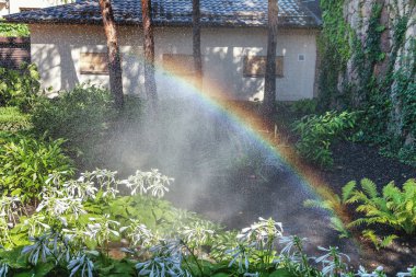 Çiçek Park güzel gökkuşağı