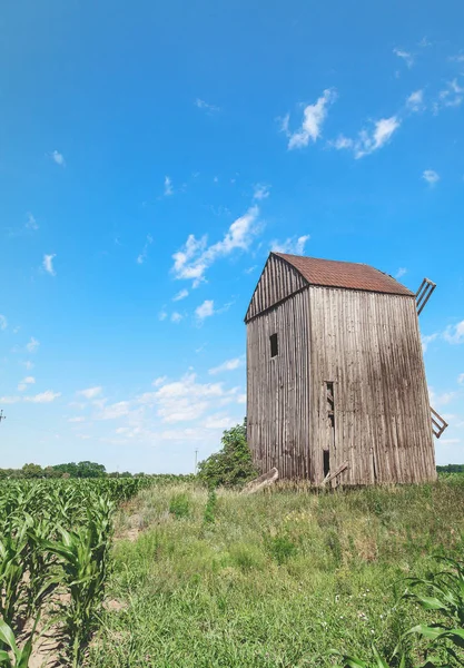Velho moinho de vento de madeira no milheiral — Fotografia de Stock