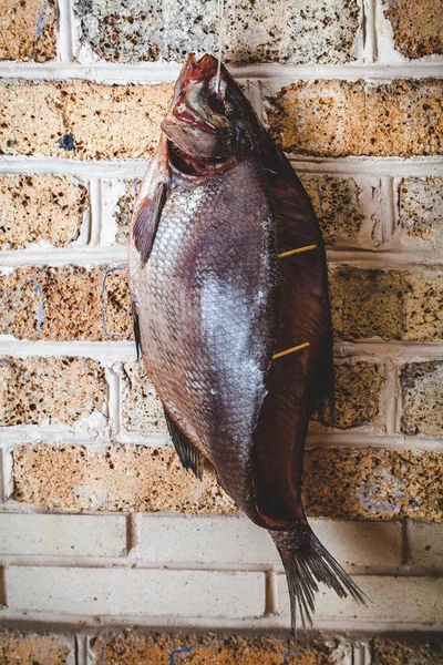 Grand poisson fumé accroché au mur de briques — Photo