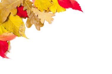 tasarım öğesi. Düşen yapraklar köşe çerçeve