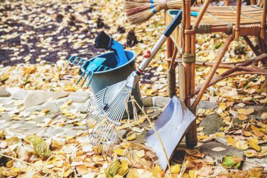 Temizlemeden önce. Boya, vernik hasır sandalye için yaprakları