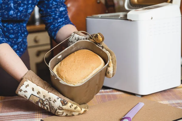 Аппетитная свежая буханка хлеба в виде хлеба — стоковое фото