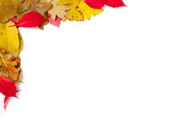 tasarım öğesi. Düşen yapraklar köşe çerçeve