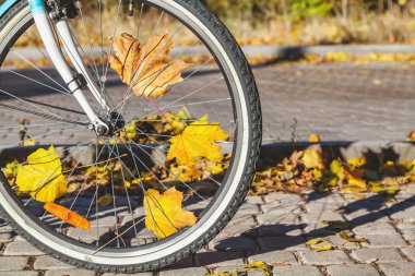 Düşen akçaağaç yaprakları arasında spoked bisiklet tekerleği