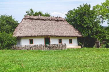 Rustik kulübe thatched çatı yüksek ile