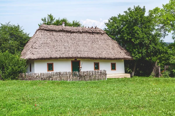 Rustik kulübe thatched çatı yüksek ile