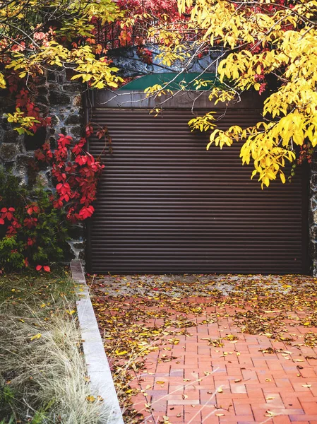 Herfst kleuren. Mooie bladeren van bomen rond roller shutter — Stockfoto