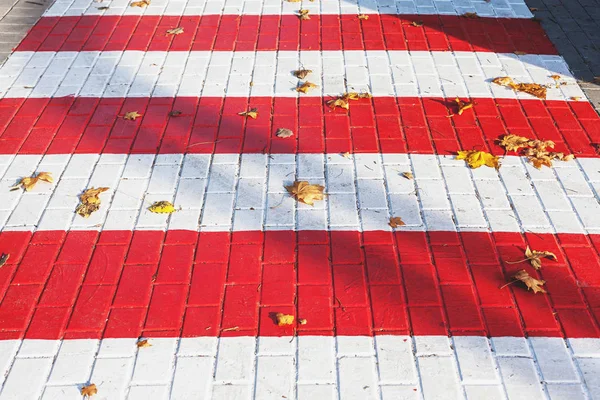 Autumn crosswalk. Fallen leaves lie on pavement slab — Stock Photo, Image