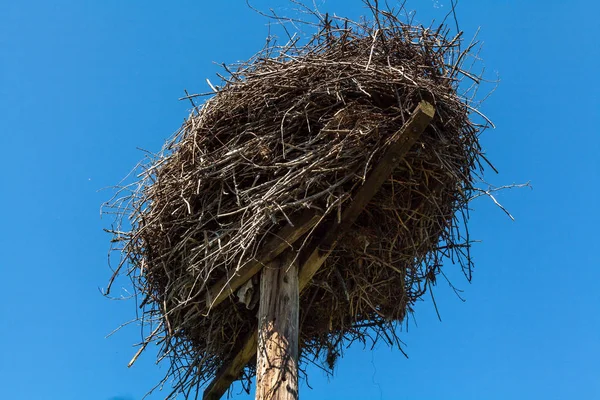 Stork Nest em poste de madeira — Fotografia de Stock