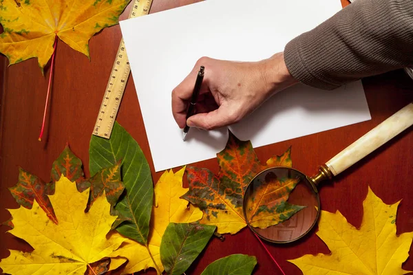 Carta de otoño. La mano está escribiendo en papel. Alrededor de hojas caídas — Foto de Stock