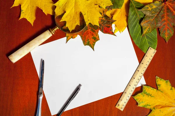 Juego de papelería de otoño. Hojas de arce caídas y artículos de papelería — Foto de Stock