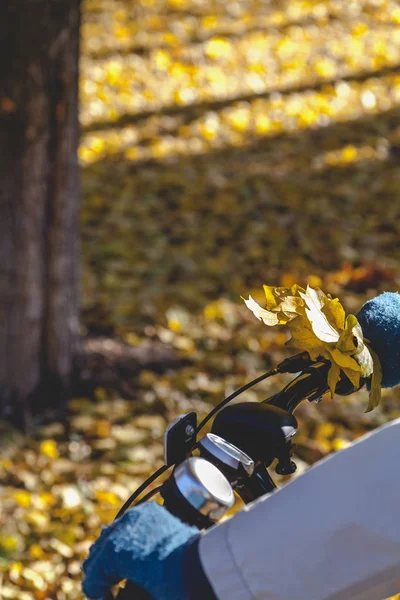 Ręka z piękny klon liści, trzymając rowerów handleba — Zdjęcie stockowe