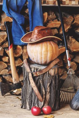 Sonbahar ruh hali. Kabak, stump, verandada aracı, ahşap, şapka