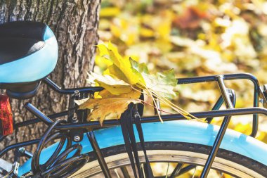 Bisiklet gövdede düşmüş akçaağaç yaprakları