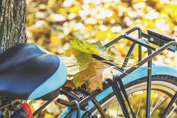 Bisiklet gövdede düşmüş akçaağaç yaprakları