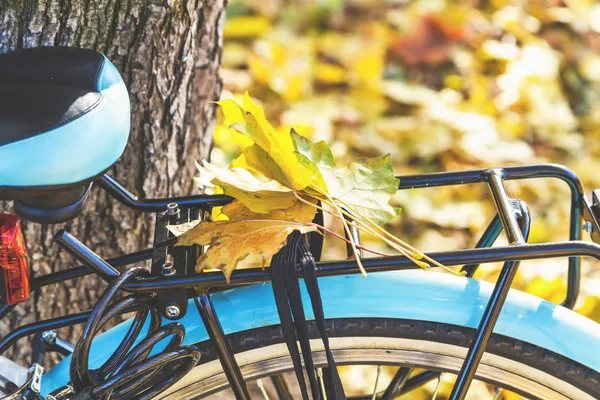 Bisiklet gövdede düşmüş akçaağaç yaprakları