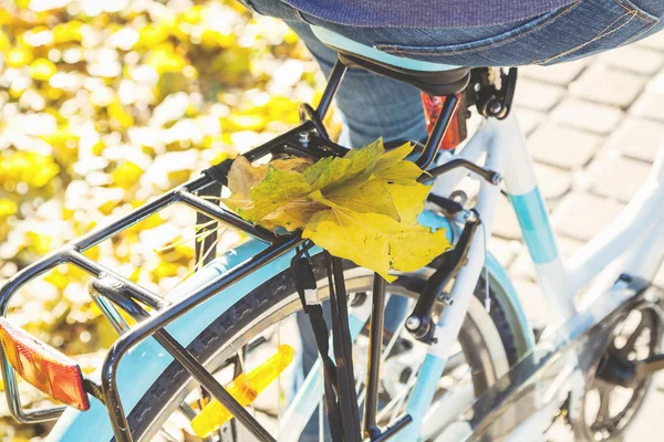 Jesień na rowerze. Liści klonu poległych na bagażniku roweru — Zdjęcie stockowe