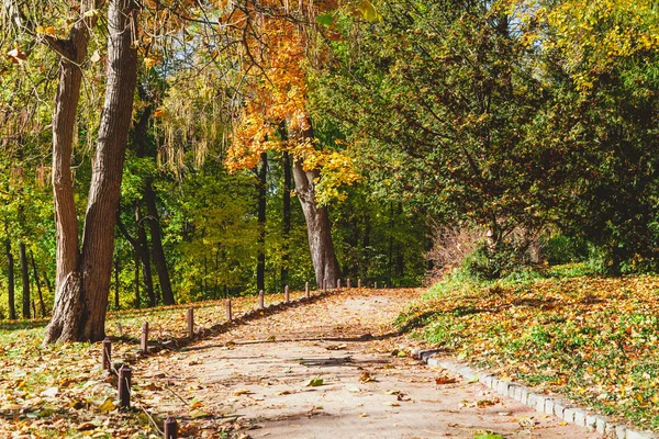 Sonbahar Park orman iz