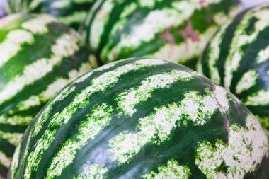 Çizgili karpuz yakın çekim