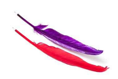 Beyaz arka plan üzerinde horoz tüy şeklinde orijinal kalemler