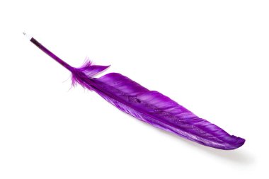 Beyaz arka plan üzerinde horoz 's tüy şeklinde orijinal kalem