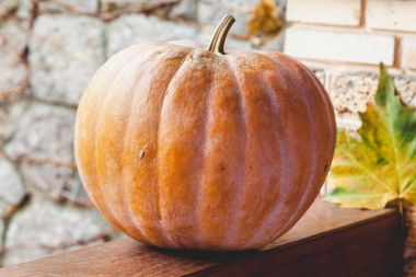 büyük turuncu kabak veranda ahşap korkuluk üzerinde yatıyor