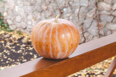 büyük turuncu kabak veranda ahşap korkuluk üzerinde yatıyor