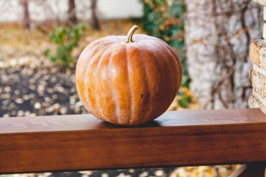 büyük turuncu kabak veranda ahşap korkuluk üzerinde yatıyor