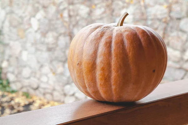 büyük turuncu kabak veranda ahşap korkuluk üzerinde yatıyor