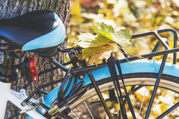 Bisiklet gövdede düşmüş akçaağaç yaprakları