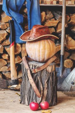 Sonbahar ruh hali. Kabak, stump, verandada aracı, ahşap, şapka