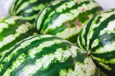 Çizgili karpuz yakın çekim