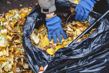 Büyük çanta içinde düşen yapraklar el koyma
