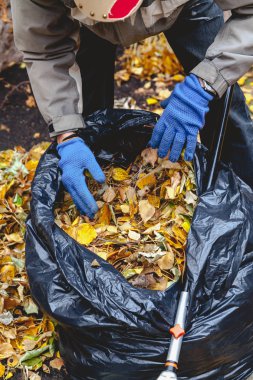 Büyük çanta içinde düşen yapraklar el koyma