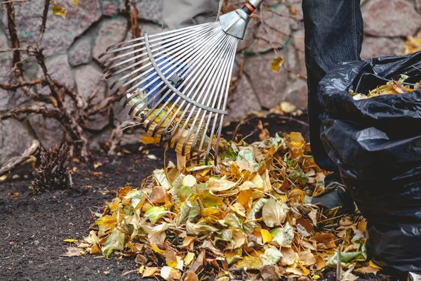 Rollende harken verzamelen gevallen bladeren in grote stapel — Stockfoto