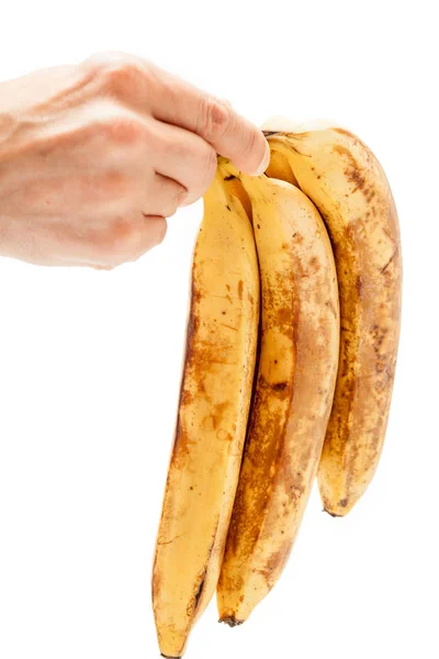 Mão segurando um monte de bananas maduras — Fotografia de Stock