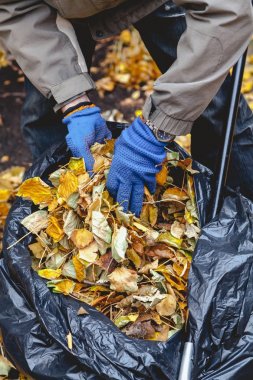 Büyük çanta içinde düşen yapraklar el koyma