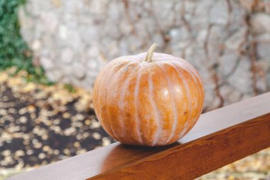 büyük turuncu kabak veranda ahşap korkuluk üzerinde yatıyor