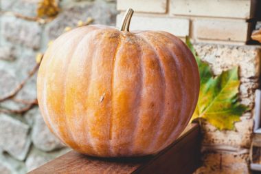 büyük turuncu kabak veranda ahşap korkuluk üzerinde yatıyor