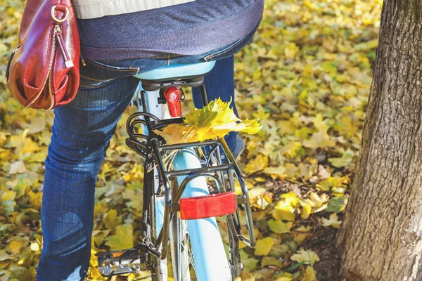 Herbst-Radtour. Umgestürzte Ahornblätter auf Kofferraum des Fahrrads — Stockfoto