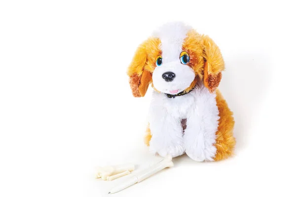 सफेद पृष्ठभूमि पर प्यारा खिलौना कुत्ता — स्टॉक फ़ोटो, इमेज