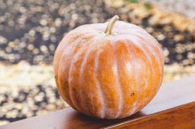 büyük turuncu kabak veranda ahşap korkuluk üzerinde yatıyor